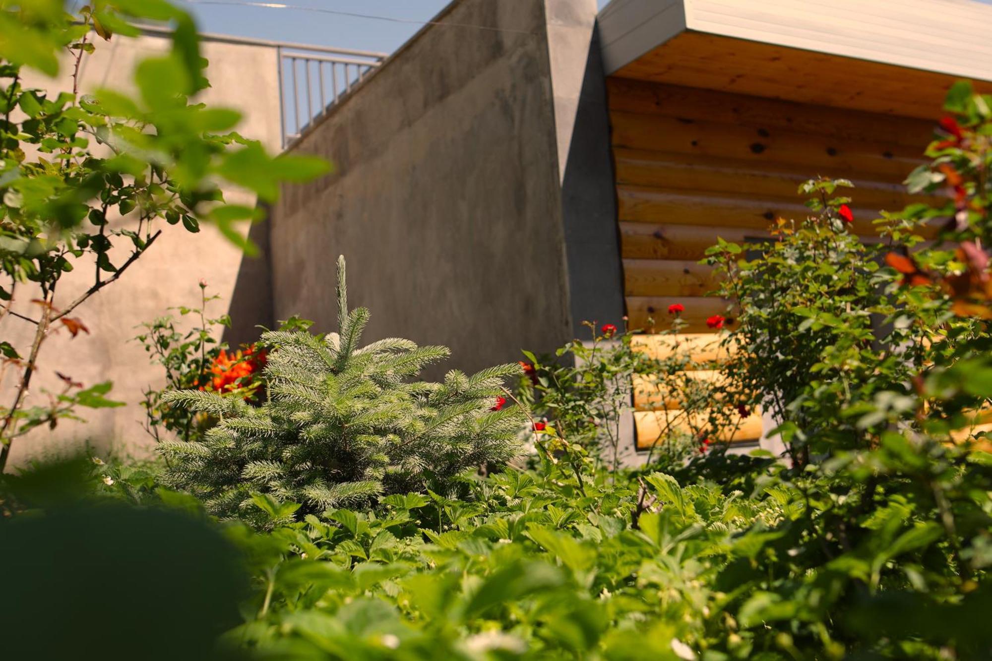 Hayi Tun Guest House Goris Esterno foto